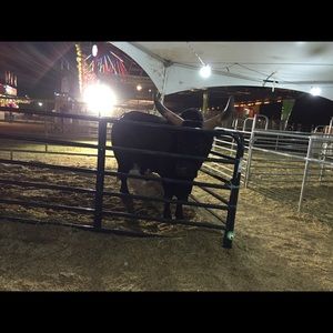 Meet your Posher, Raul